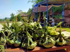 RASULAN 5 PADUKUHAN KALURAHAN PUTAT